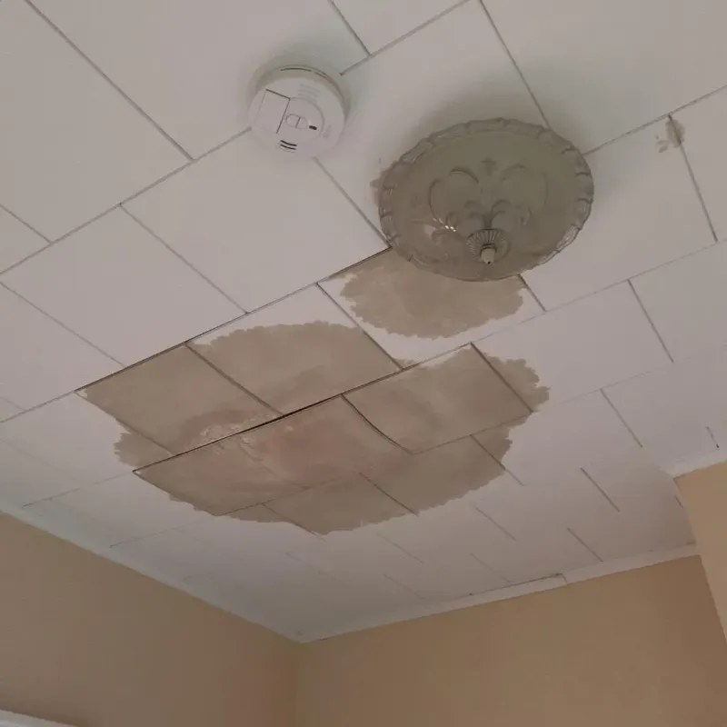 Ceiling Water Damage Repair in Chautauqua County, KS