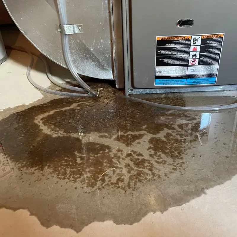 Pipe Burst and Leak Restoration in Chautauqua County, KS