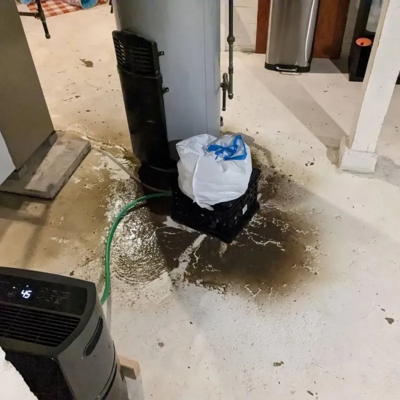 Sewage Backup Cleanup Service in Chautauqua County, KS